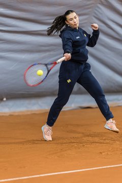 Bild 501 - HL THC von Horn und Hamm - Marienthaler THC : Ergebnis: 5:1